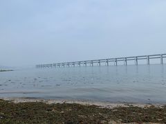 -黑石礁公园