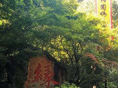 -杭州黄龙洞