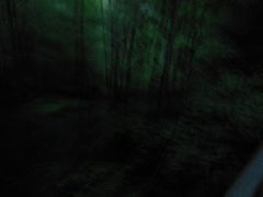 -峡谷浮石林景区