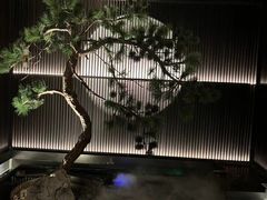 -大拙里·精致融合菜(沙湖桃源国际店)