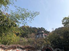 -老张烤羊(王哥庄店)