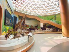 -陕西自然博物馆