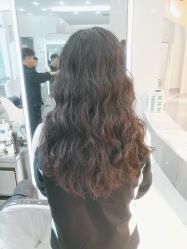 -东方麒麟·潘多拉SALON