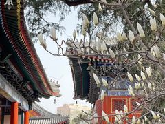 -北京艺术博物馆(万寿寺)