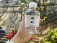 -灵隐飞来峰景区