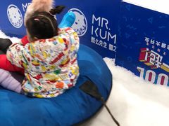 -Mr·Kuma酷么先生雪之乐园