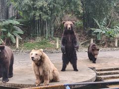 -贵州森林野生动物园