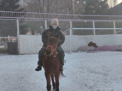 -沈阳奥体冰雪嘉年华