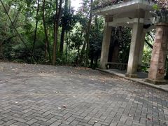 -火炉山森林公园