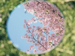 -上海辰山植物园