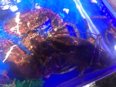 -盒马鲜生(莱蒙都会店)
