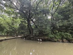 -兰亭风景区