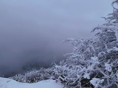 -秦岭风景区