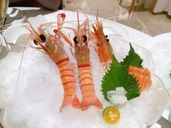 -京彩臻品火锅