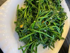 蒜蓉炒树菜-美极鲜食坊(宝安南路店)