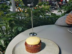 -Wagas沃歌斯(大学路店)