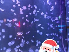 -太平洋海底世界