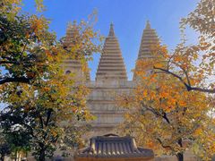 -北京石刻艺术博物馆(五塔寺)