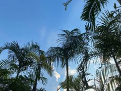-广州从化都喜泰丽度假温泉酒店