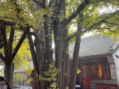-红螺寺