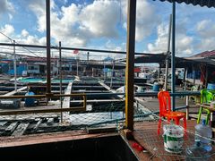 -蓝湾碧波·老字号·疍家非遗海上餐厅