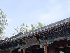 -北京大学赛克勒考古与艺术博物馆