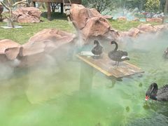 -福州罗源湾海洋世界旅游区