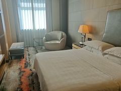 -西安赛瑞喜来登大酒店