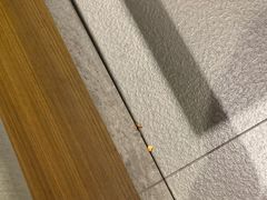 -剪花娘子·陕西面馆(上海川沙百联店)