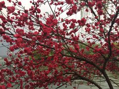 -乌江鱼杭帮菜(西湖店)