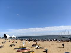 -碧海金沙