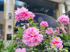 -遇见小面(白云机场T2安检外店)