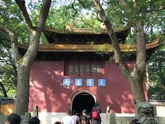 -普陀山风景名胜区-法雨禅寺