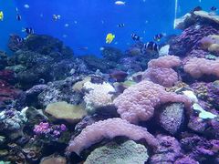 -成都浩海立方海洋公园