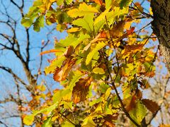 -天津盘山风景名胜区