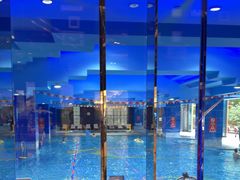 -Waterfall瀑布湾优健源(华侨城店)