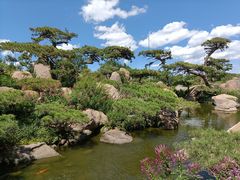 -罗红摄影艺术馆