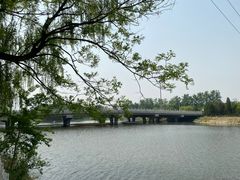 -翠湖国家城市湿地公园