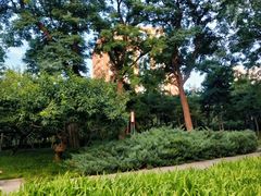 -元大都城垣遗址公园