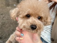 -小意思咖啡店(草桥店)