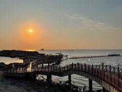 -养马岛旅游度假区