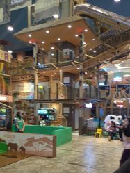 点击看大图 -卡通尼·Safari非洲探索乐园·生日会(金桥国际商业广场店)