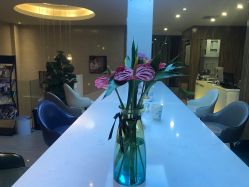 -比华利美容医院