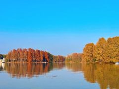 -上海海湾国家森林公园