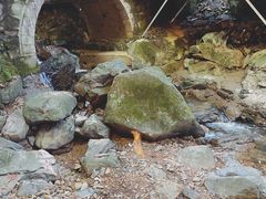 -藏龙百瀑风景区