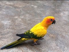 -昆明动物园