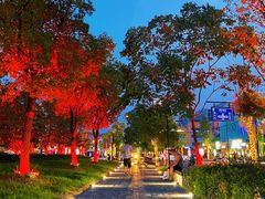 -新天地活力PARK