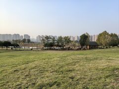 -洋湖国家湿地公园