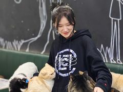 -安格丽娜·狗咖·猫咖羊驼咖(春熙路百盛商场店)