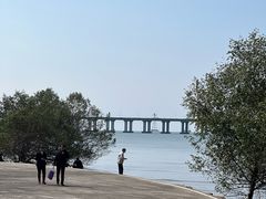 -宝安西湾红树林湿地公园